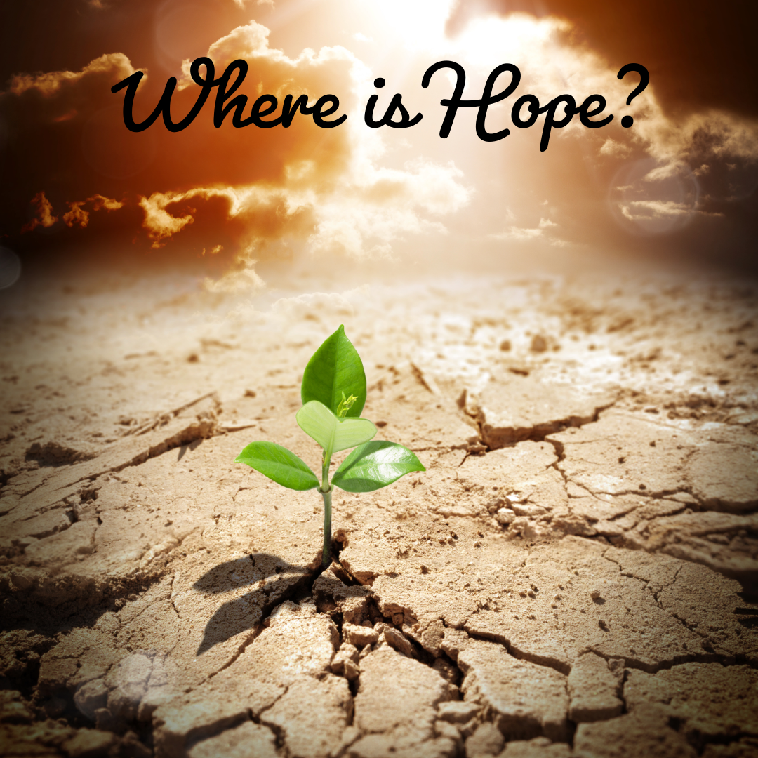 Where is Hope, Joy & Peace Found?