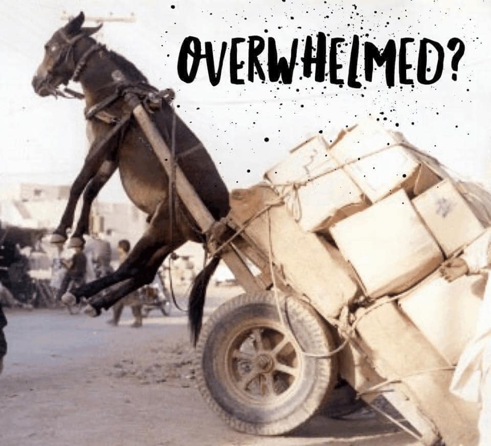 Are you Overwhelmed?