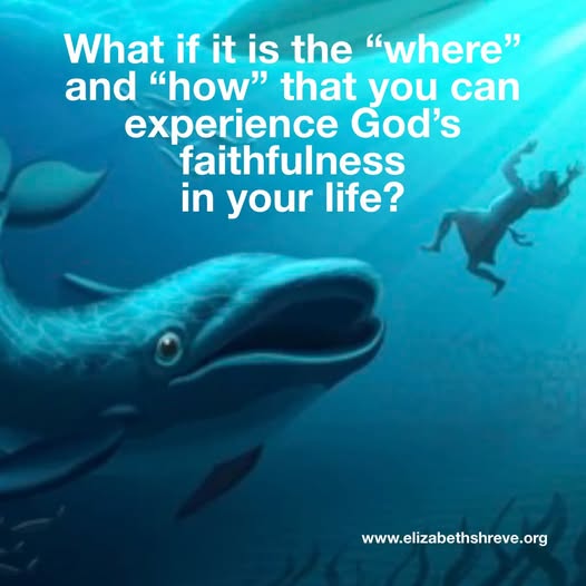 The Whale was God’s Rescue Plan